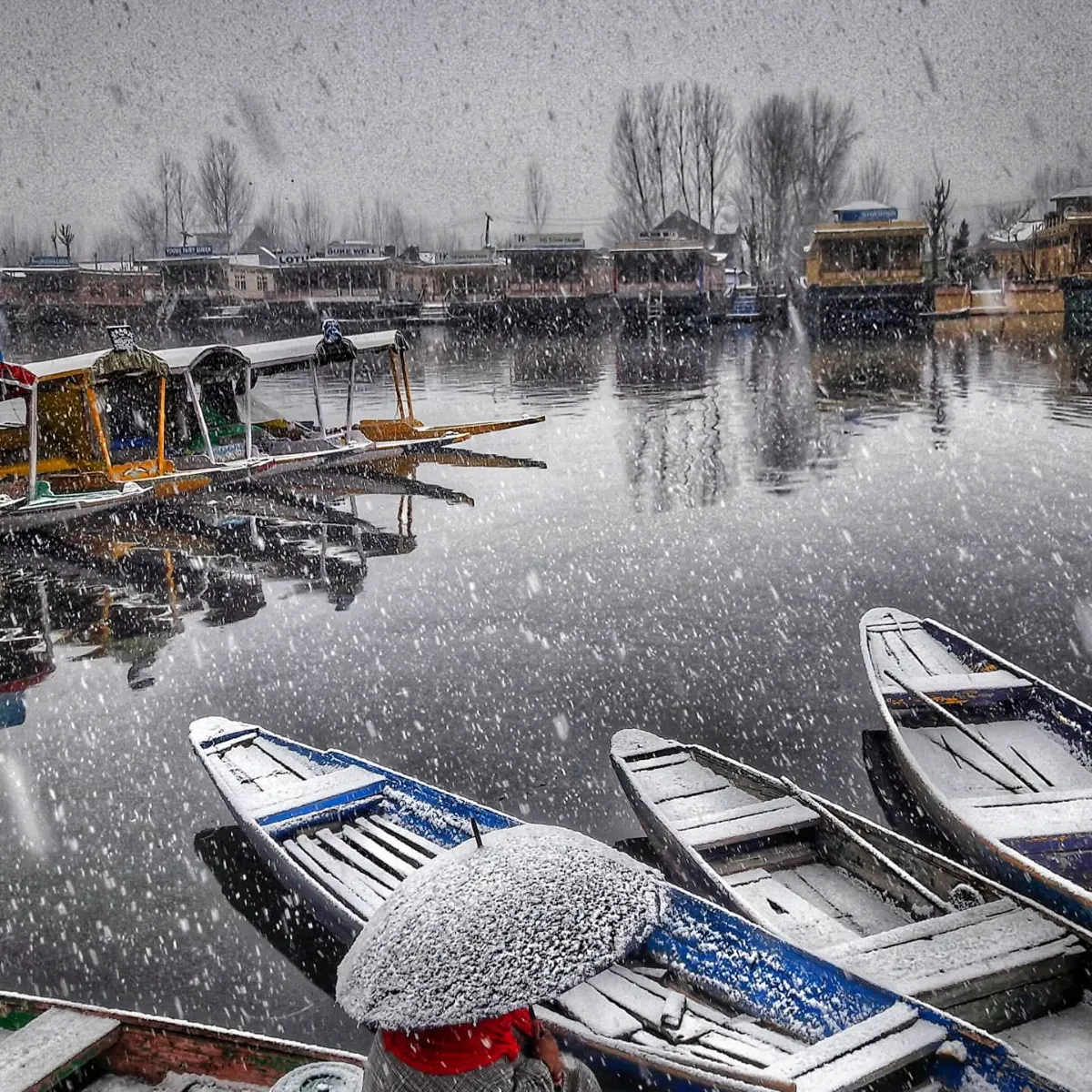 KASHMIR WINTER DELIGHT