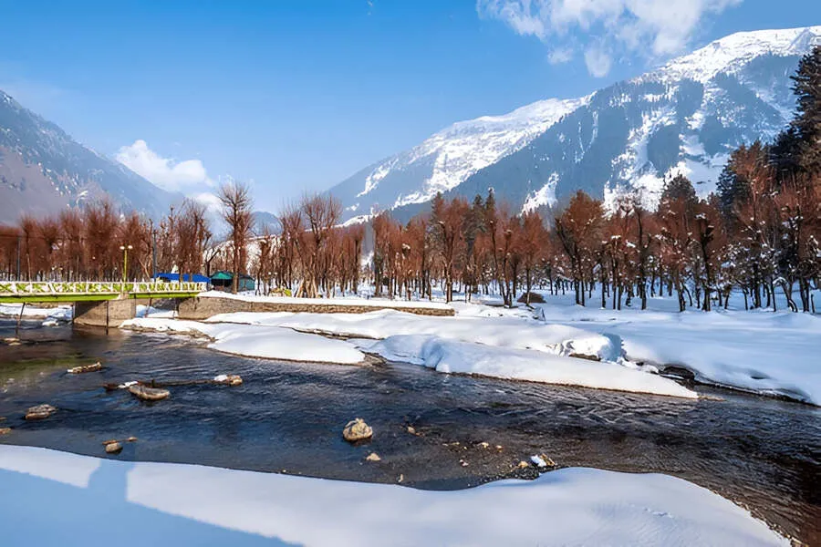 KASHMIR WINTER DELIGHT Image