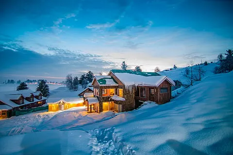 KASHMIR WINTER DELIGHT Image
