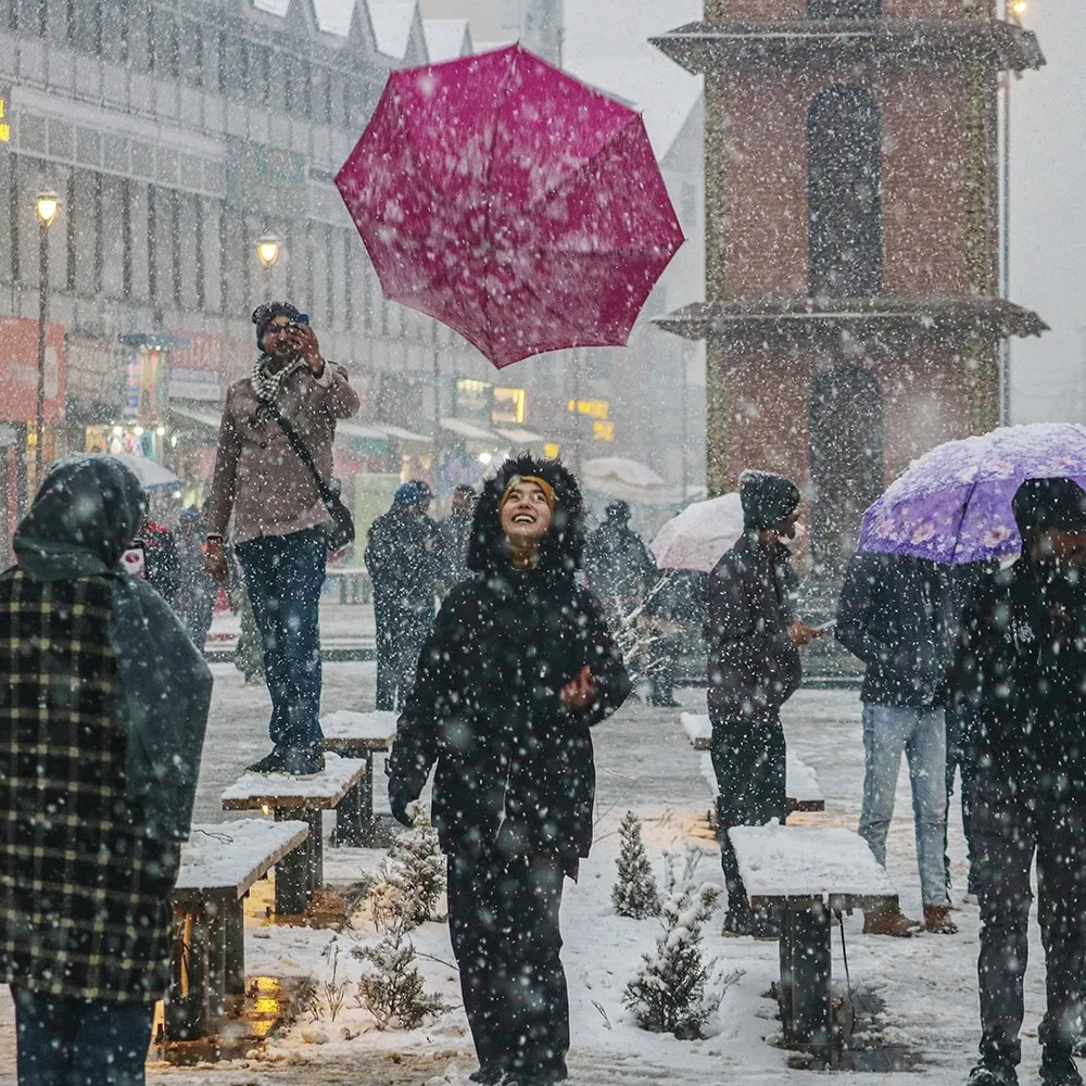 KASHMIR WINTER DELIGHT Image