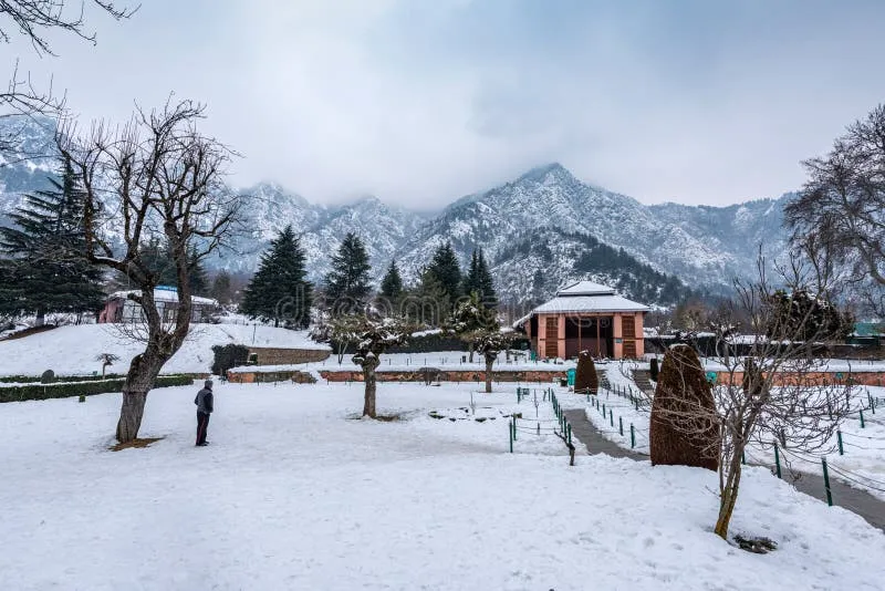 KASHMIR WINTER DELIGHT Image