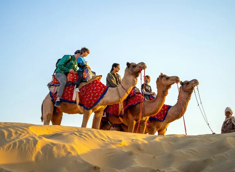 ROYAL RAJASTHAN Image