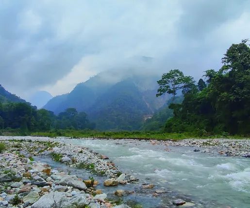 DOOARS IN MONSOON Image